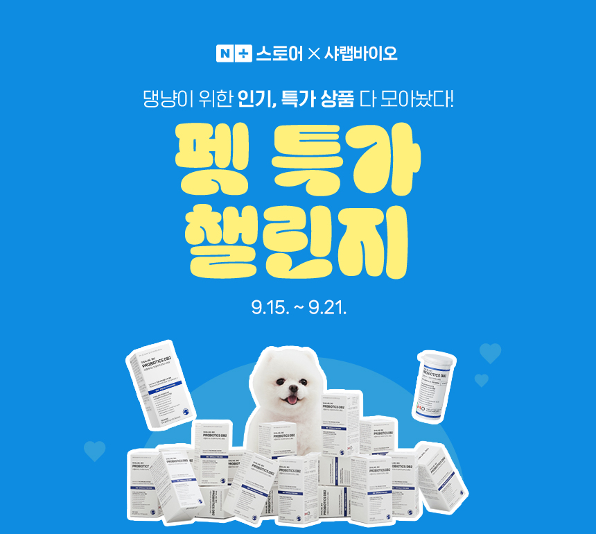 컨텐츠이미지